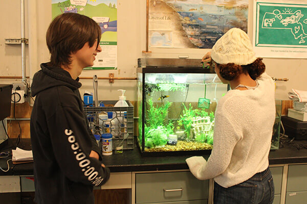 two students looking at plants